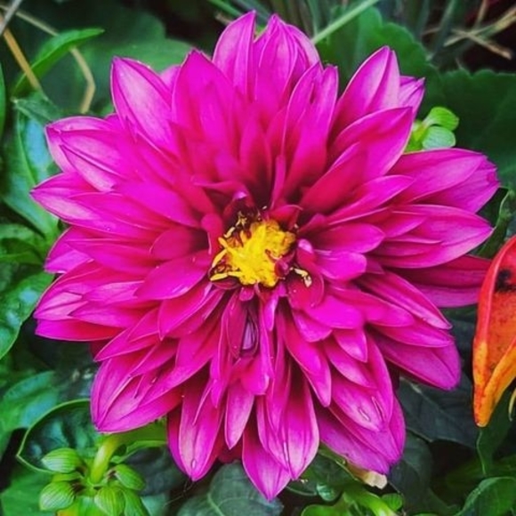 Meet your Posher, Lee - Picture 1 of 1